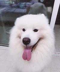 �������Լ�������һ��