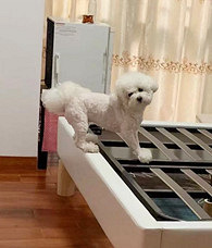 �Ѵ������ˣ�������ô�ˣ�