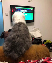 ���İ������ҵ���......