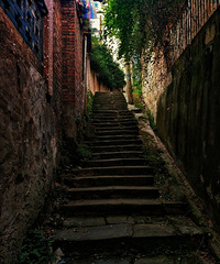 һ������ʷζ�������޿�Ӿ�ء��������ֵ��Ͻ�