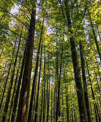 ȥϴġ̹ɭ֡Сգȫ糬߳Ա߼Ӳ