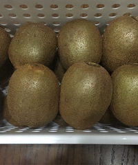 ԭΪ⨺Ҳˣû뵽ζˮҲ