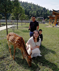 ������¹ɽ�羰����ʢ����