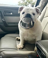 �Է��ļһ���Բ��ܶ���