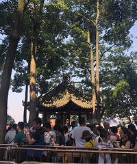 周末三天乐山行,就是吃吃吃