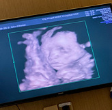 20��������ϵͳ�ʳ�