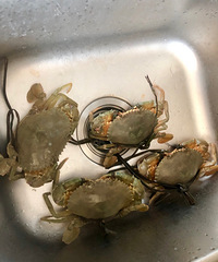 Լݺ굺̫̫٣ʱˡ2019μǡ