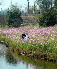 30��ȥ���Ͽ���ɣ���������Ѿ��������ã��غӳ���һƬ���պ���