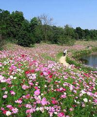 30ȥϿɣѾãغӳһƬպ