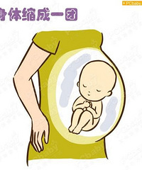 10��ֽ���֪ʶ���������������ͥì�ܣ�