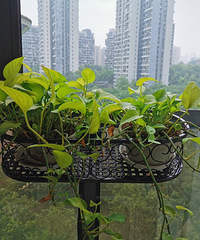 û����̨Ҳ�����õĻ��ܣ��ܿ���������϶��Ļ���