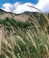 ���촨���Լ�֮�ã�һ·��ͨ�����������羰