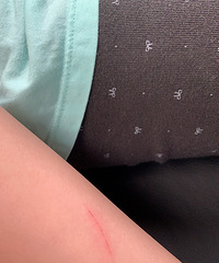 ��èץҪ��Ҫ���밡��