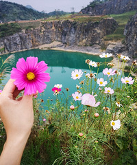 承包这片矿山,人少空气好,能看格桑花、钓鱼