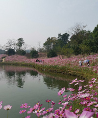 �����Եĸ�ɣ����