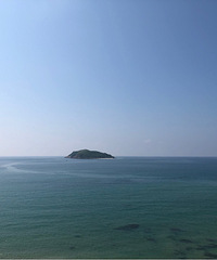 һ�����ڵ�ʯ÷��֮��