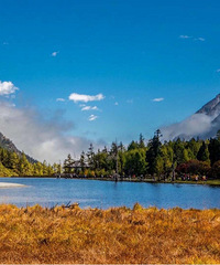 2������֮���﹵֮�ã�������ɫ���������