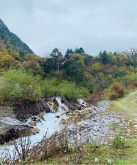 �������Ų��򼷿�������ɫ����կ���Ź��������ó�