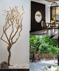 ɳƺ270ƽԾ㣬Сڴʽ