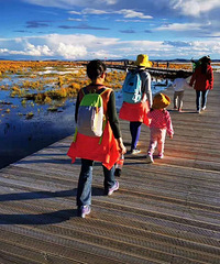 �����Լ�������-��ľ��-�����ǻ��ߣ�������Щʵ�ù���