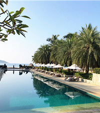 ����ʯ÷�����پ���