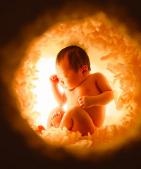 �װ��ġ���������ѽ����ӭ�������ְ���������