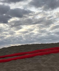 是在下输了,出门旅游还是大妈会玩