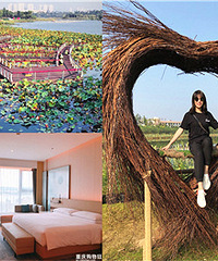 1СʱȥƵ껷ò398