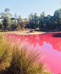 һ˵īУۺŮģcosplay