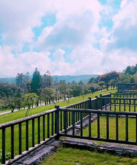 û�뵽��һ�ҾƵ�Ե��˳Թ�����óԵĿ�ȫ��