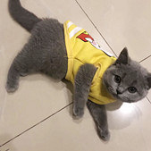穿上衣服路都不会走了