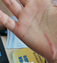 ������ʼ����������