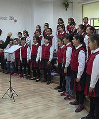 �����ձ����汨����лС��ʲô����й�������