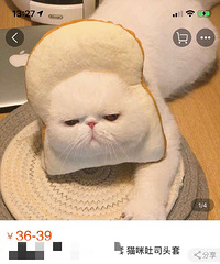 �������������˼ҵ�è��ô�ȣ����Ҽҵ�...