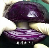 ���ģ���ʸ���ȫ����