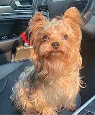 ��˵������Ľ�ҵĽ�ɫ����