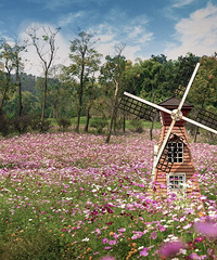 ����û�����£�����һСʱ������