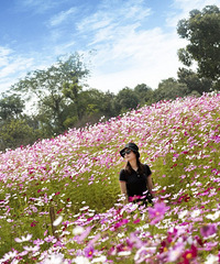 ����û�����£�����һСʱ������