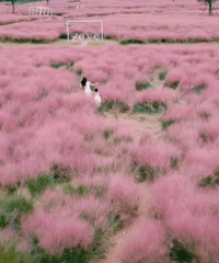 ǧĶ���컨�����λ�