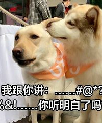 有没有想要一起脱单的,90年的,颜值将就