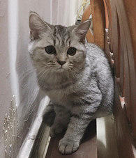 ����˵���������㣬����