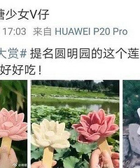故宫和圆明园都出雪糕了,价格不贵