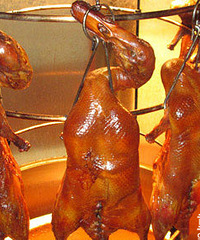 ֱ20ԪһֻĿѼܲܳԣ