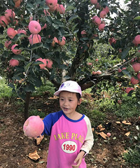 �Եú�ס�úõ����ϻ���2019���������μǡ�