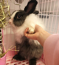 ����ʱ������Ҳ̫�ɰ��˰�