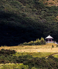 �Լݴ������ŵش뿨������������������