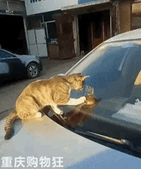 �����������˵���