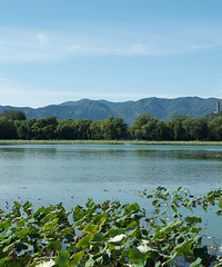 �������ú�԰��չ��÷Ү�Ͼ�ͷ�⺷���������2019��������