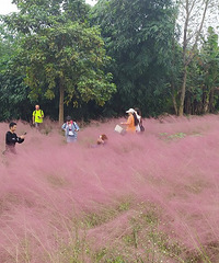 ۺ캣-ӲݻأΪʥأʵ̫