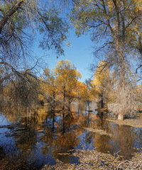 ����5000������������ž�������������ɫ